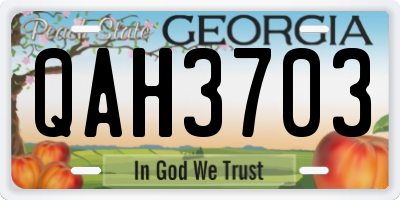 GA license plate QAH3703