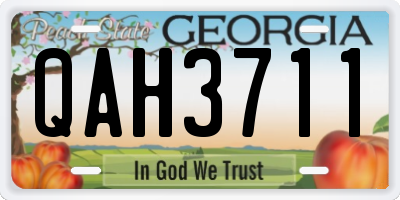 GA license plate QAH3711