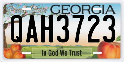 GA license plate QAH3723