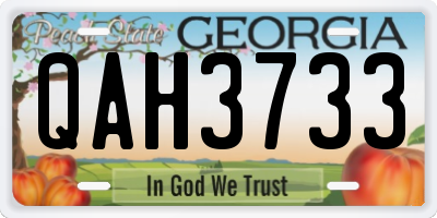 GA license plate QAH3733