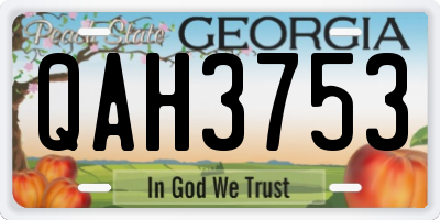 GA license plate QAH3753