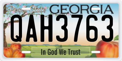 GA license plate QAH3763