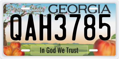 GA license plate QAH3785