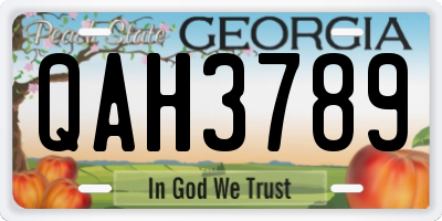 GA license plate QAH3789