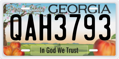 GA license plate QAH3793