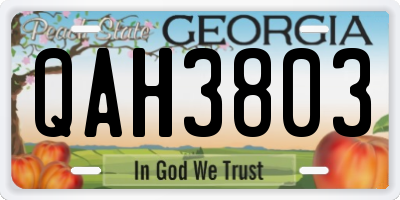 GA license plate QAH3803