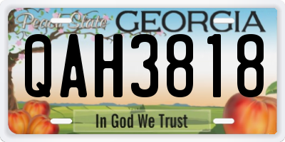 GA license plate QAH3818
