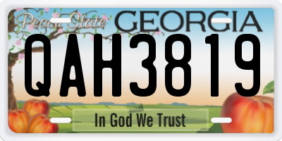 GA license plate QAH3819