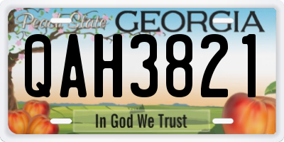 GA license plate QAH3821