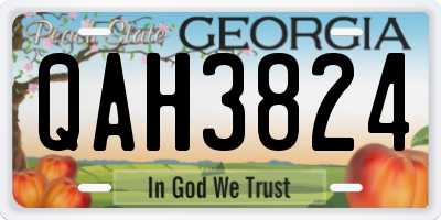 GA license plate QAH3824