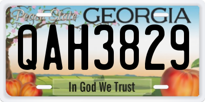 GA license plate QAH3829
