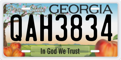 GA license plate QAH3834