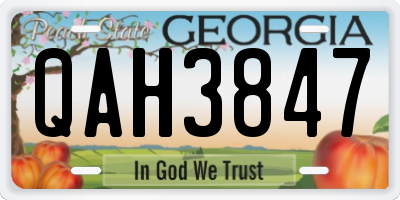 GA license plate QAH3847