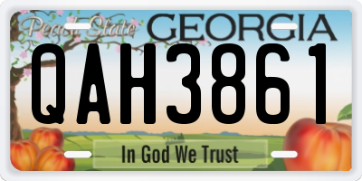 GA license plate QAH3861