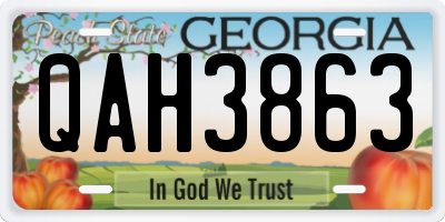 GA license plate QAH3863