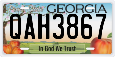 GA license plate QAH3867