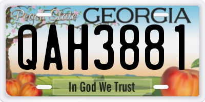 GA license plate QAH3881