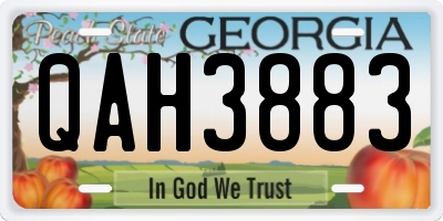 GA license plate QAH3883