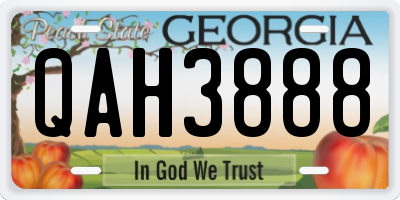 GA license plate QAH3888