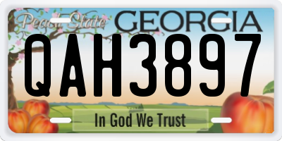 GA license plate QAH3897
