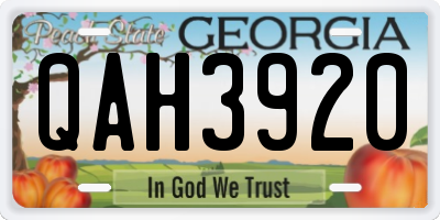 GA license plate QAH3920