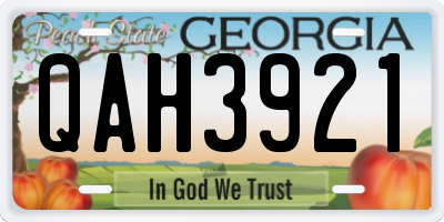 GA license plate QAH3921