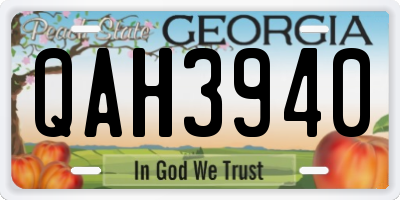 GA license plate QAH3940
