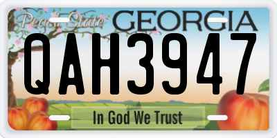 GA license plate QAH3947