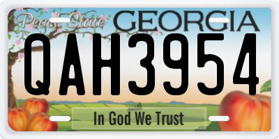 GA license plate QAH3954