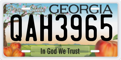 GA license plate QAH3965