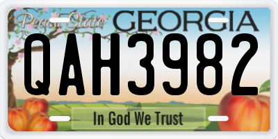 GA license plate QAH3982