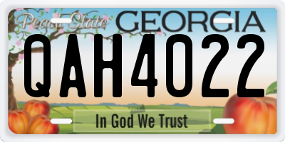 GA license plate QAH4022