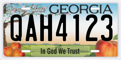 GA license plate QAH4123