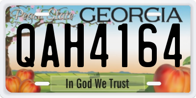 GA license plate QAH4164