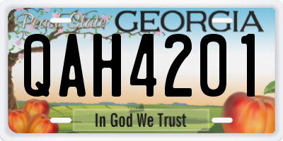 GA license plate QAH4201