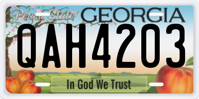GA license plate QAH4203