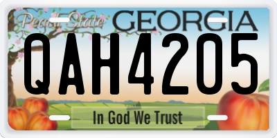 GA license plate QAH4205