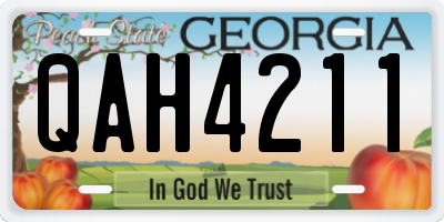 GA license plate QAH4211