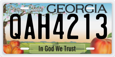 GA license plate QAH4213