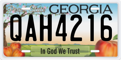 GA license plate QAH4216
