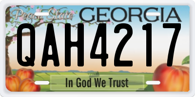 GA license plate QAH4217