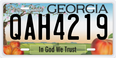 GA license plate QAH4219