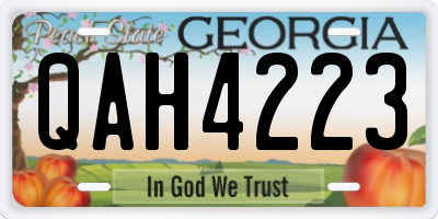 GA license plate QAH4223