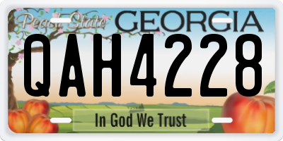 GA license plate QAH4228