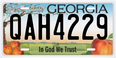 GA license plate QAH4229