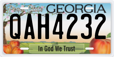 GA license plate QAH4232