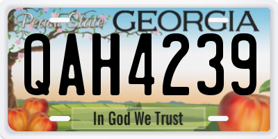GA license plate QAH4239