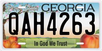 GA license plate QAH4263