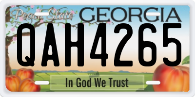 GA license plate QAH4265
