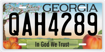 GA license plate QAH4289
